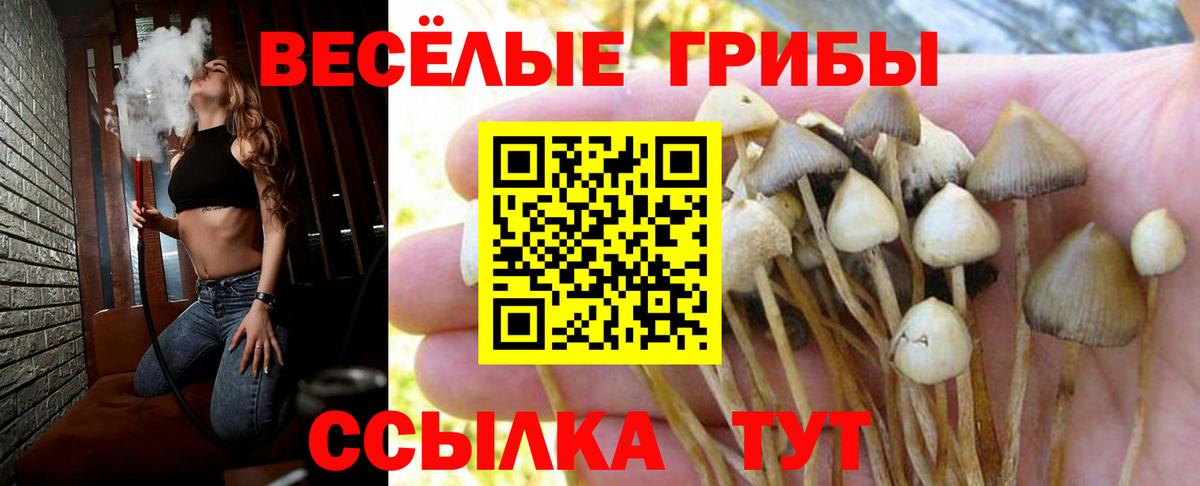 Галлюциногенные грибы ЛСД  Вход с VPN  Мончегорск 